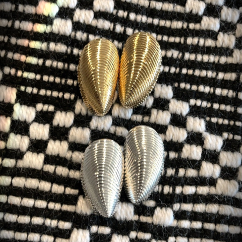 Silver Elongated Mussel Shell