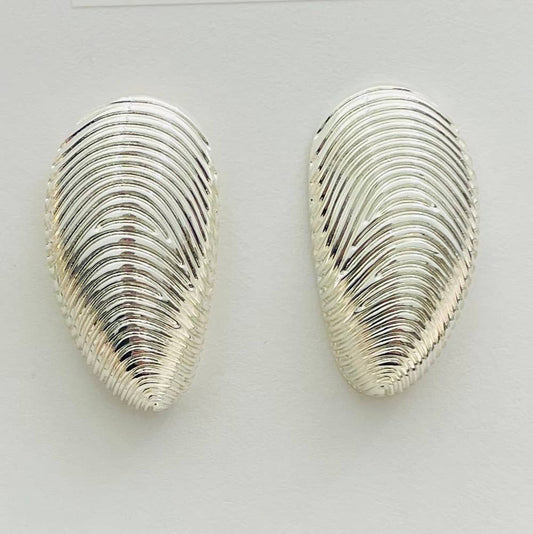 Silver Elongated Mussel Shell